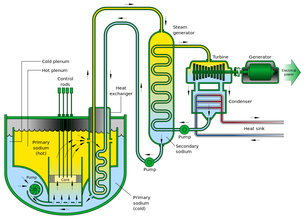 Schematic of a sodium-cooled fast nuclear reactor